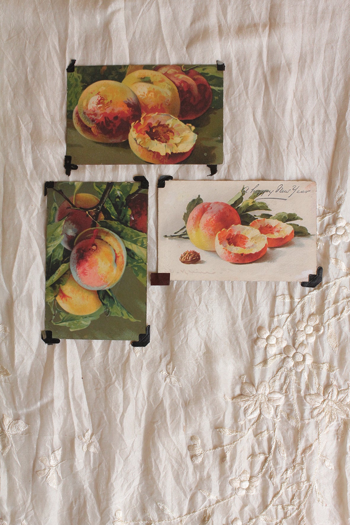 Inspirations from a Scrapbook - Still Life 4