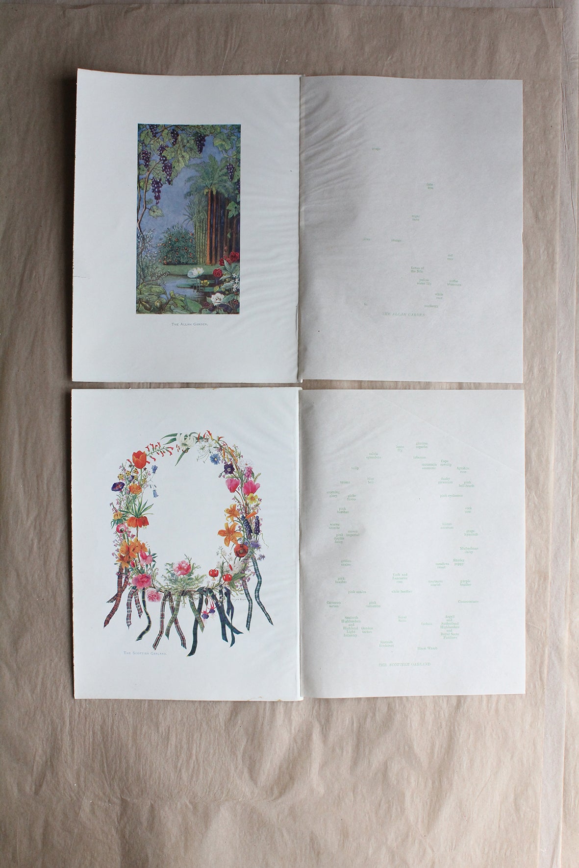 A Collection of 1920's Floral Prints Perfect to Inspire Embroidery - Set 4