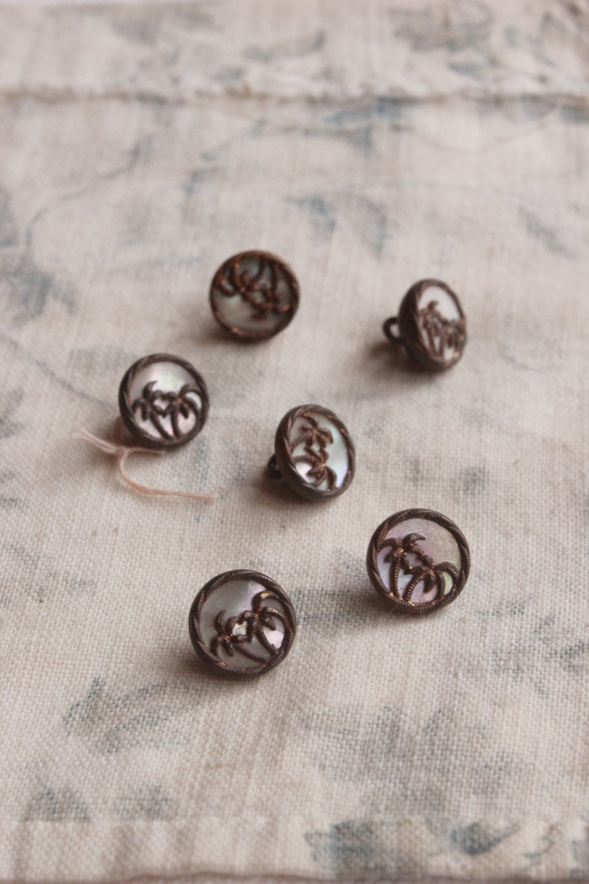 Lovely Old Palm Tree & Pearl Buttons
