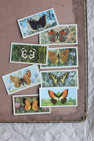 Old Cigarette Cards - Butterflies of the World - Collection 3