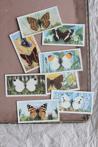 Old Cigarette Cards - Butterflies of the World - Collection 6