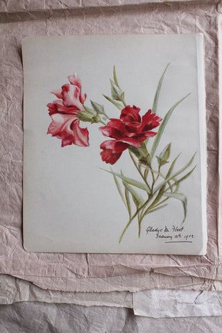 Paper Histories - Carnations