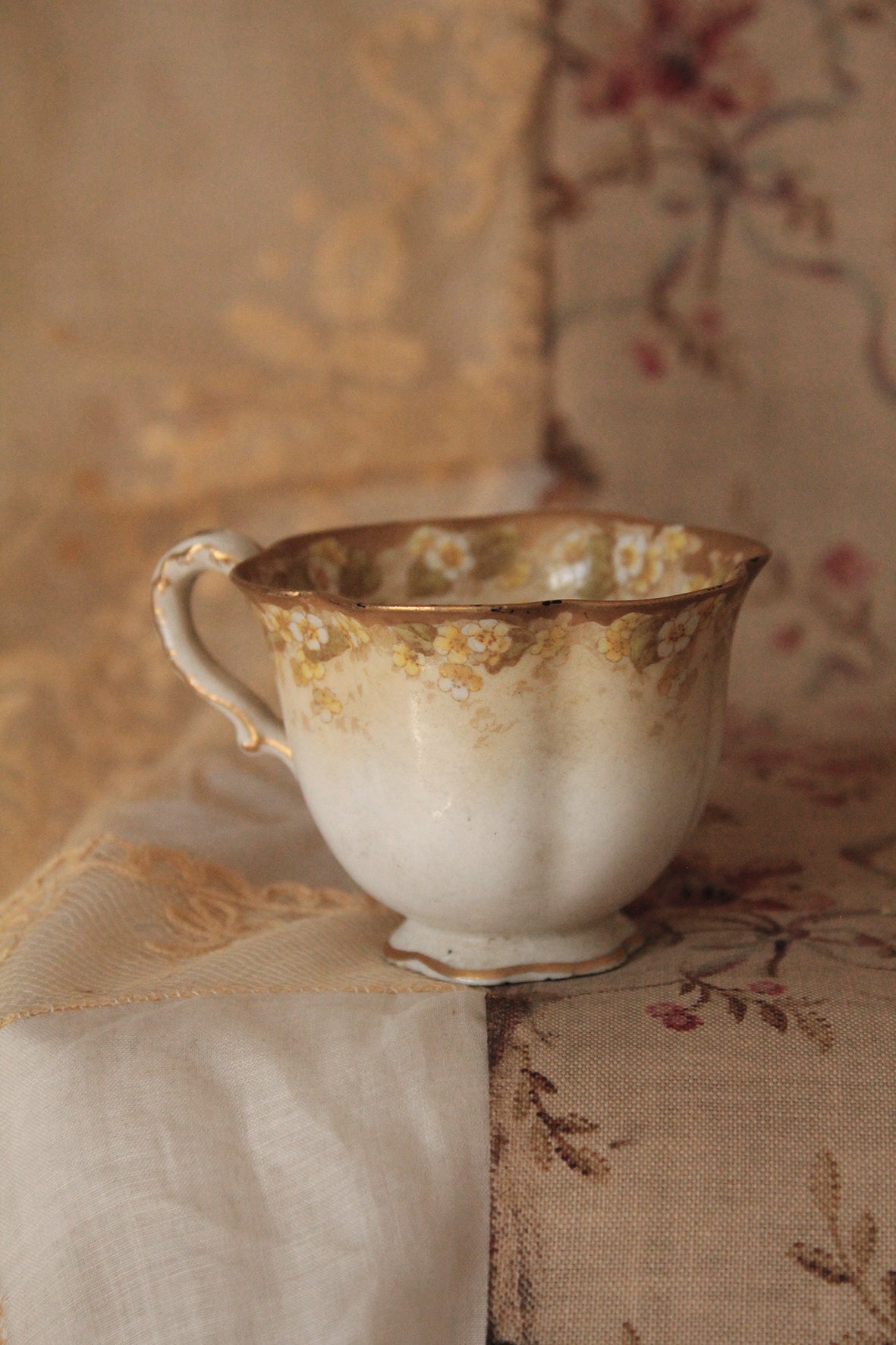 Sweet Old Cup - Camomile