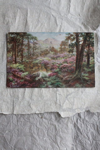 Old Postcard - Flowering Woods
