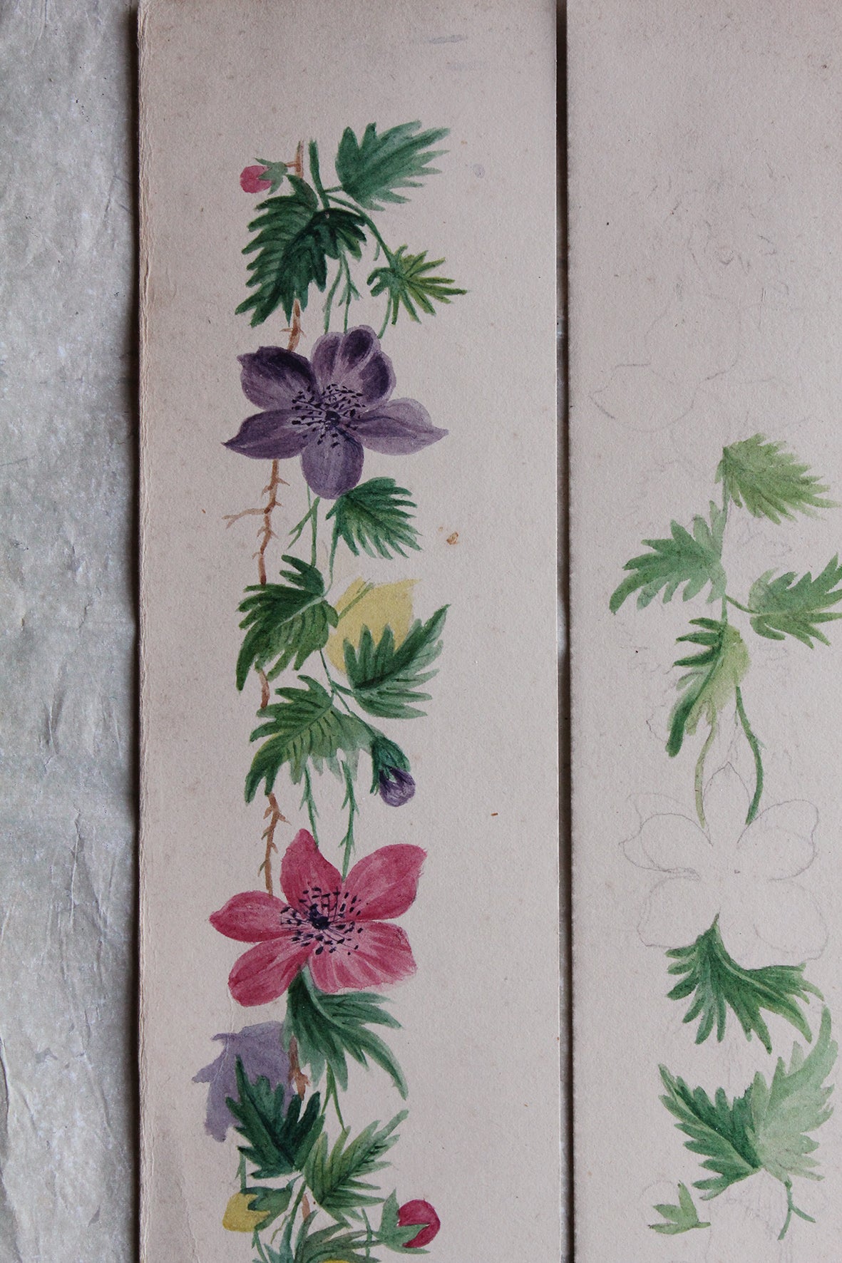 Gentle Antique Floral Hand Painted Borders