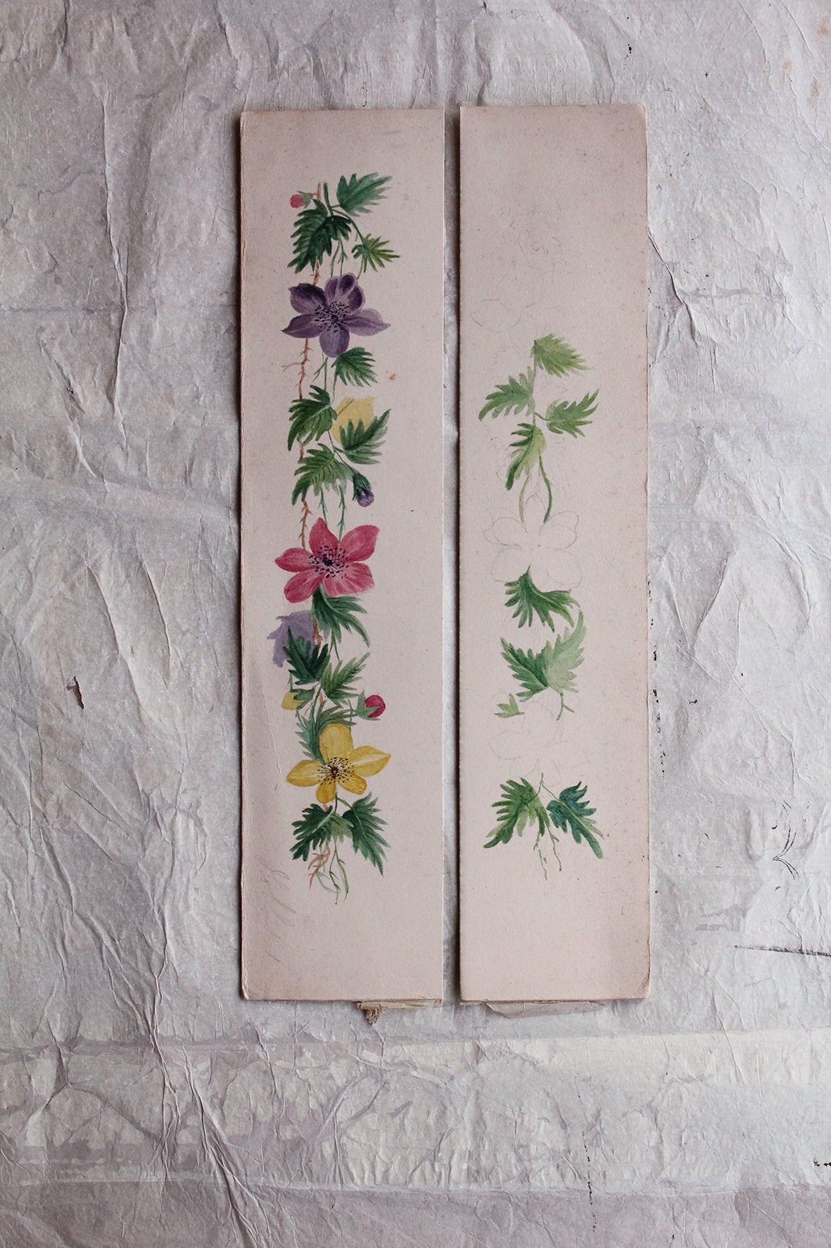Gentle Antique Floral Hand Painted Borders