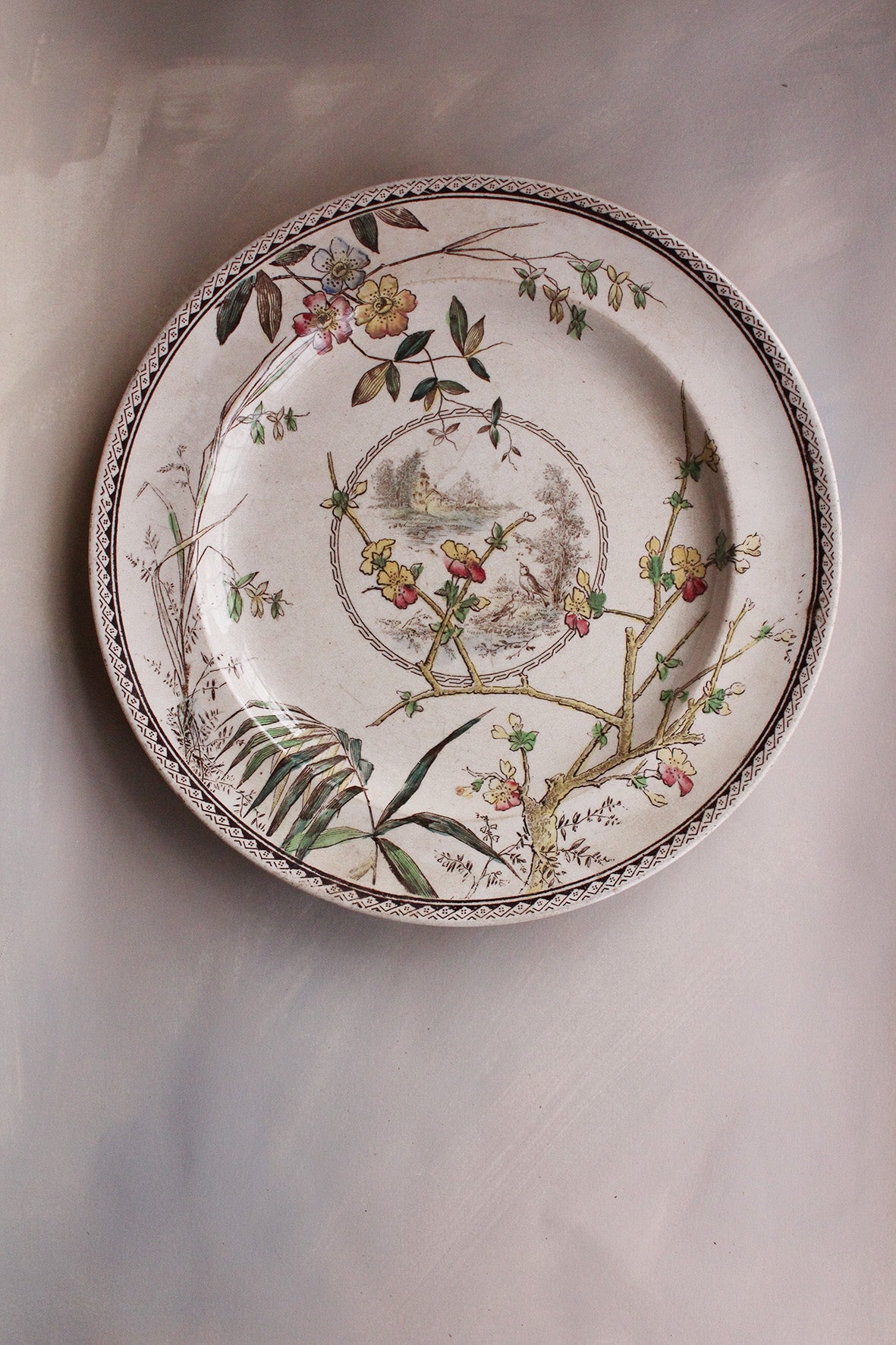 Beautiful Old Whitely Plate -
