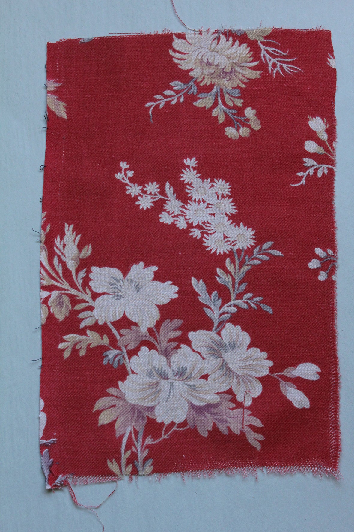 Antique French Cotton - Fragment 27