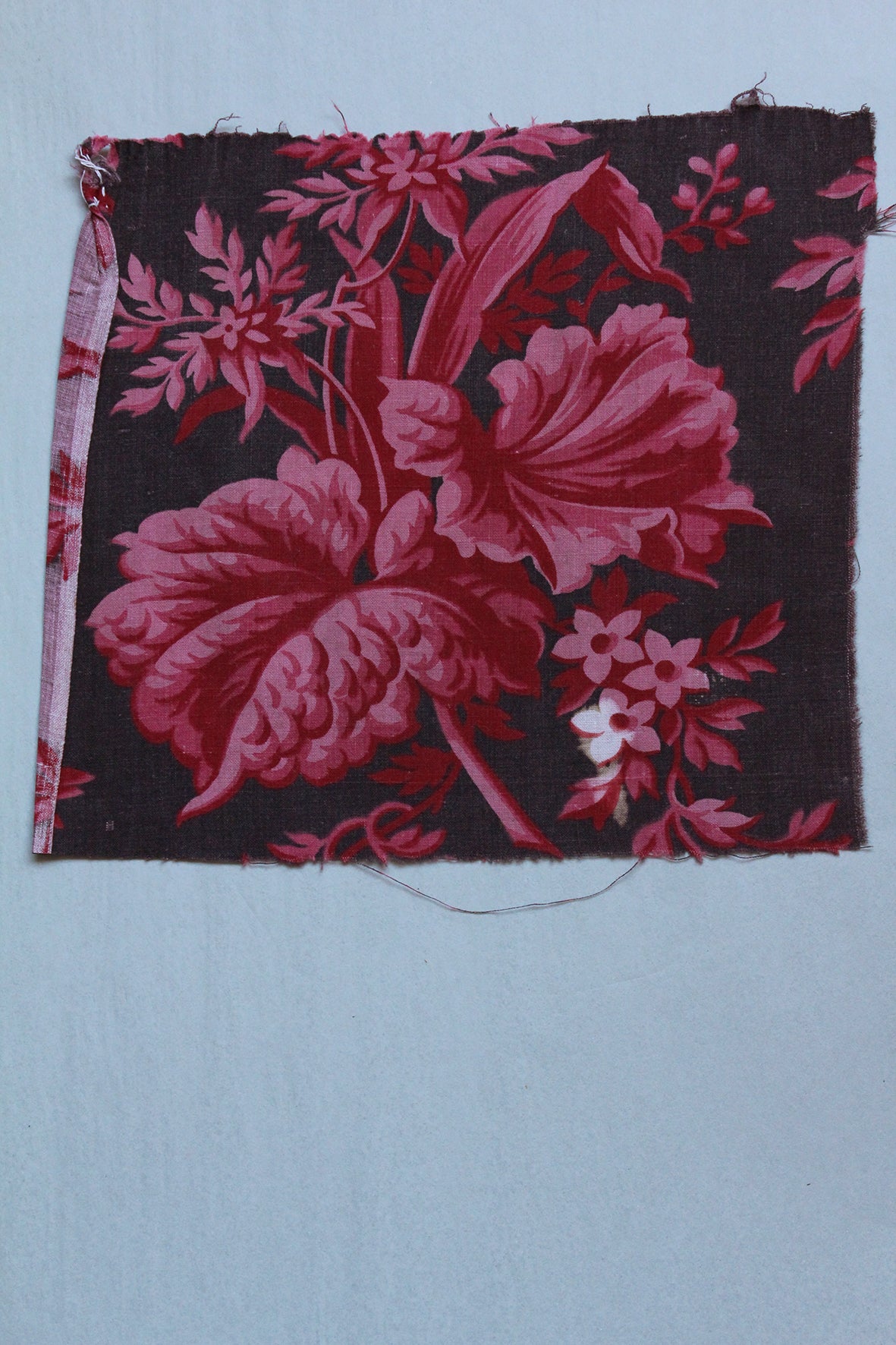 Antique French Cotton - Fragment 23