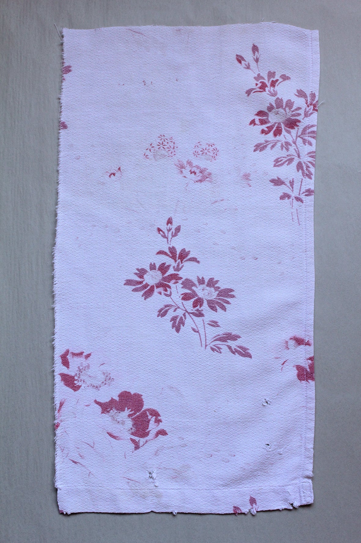 Antique French Cotton - Fragment 13