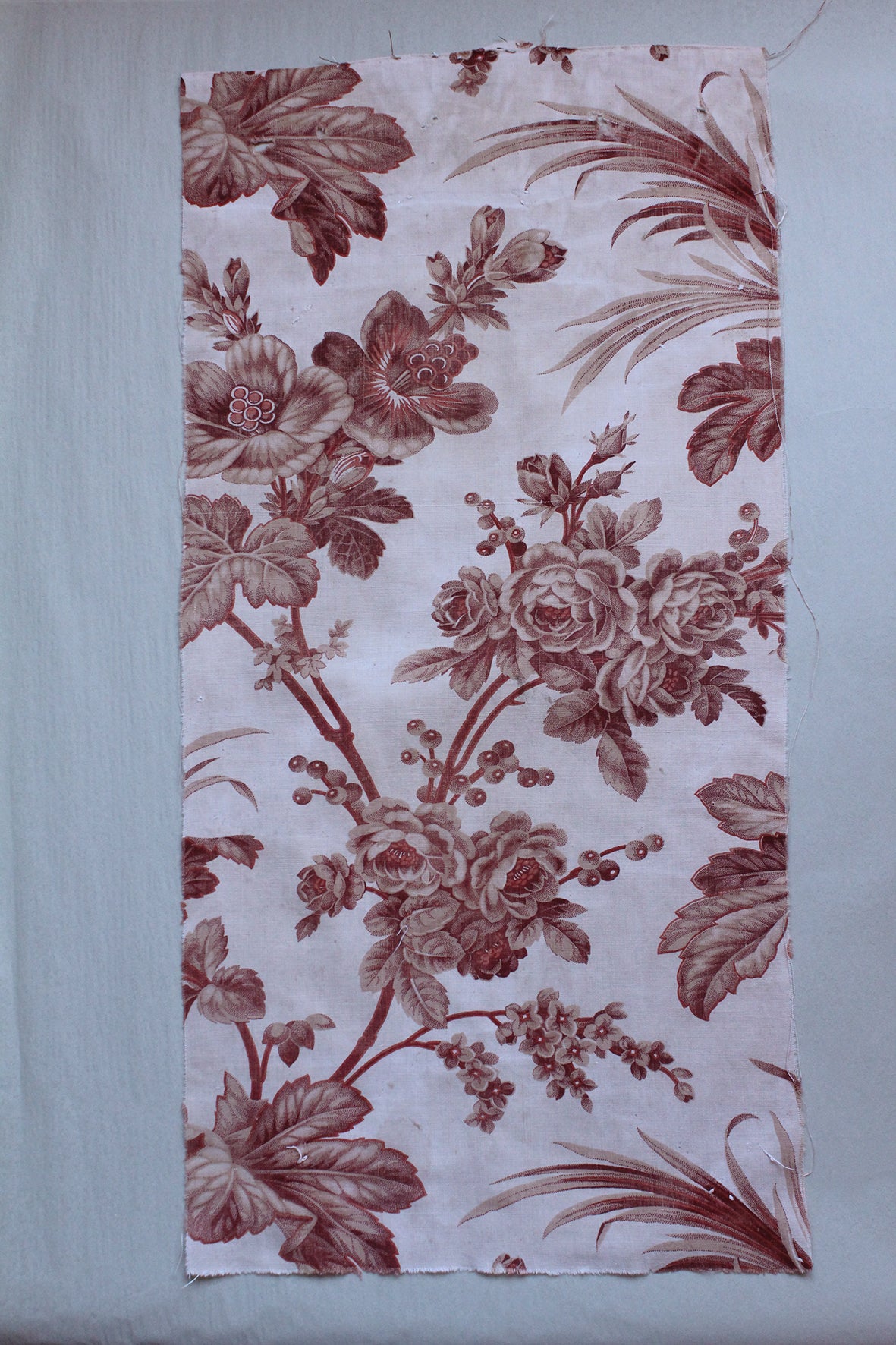 Antique French Cotton - Fragment 81