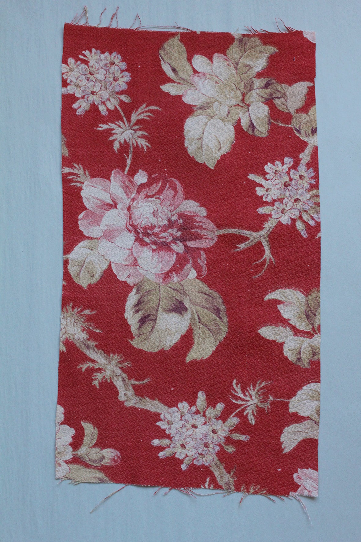 Antique French Cotton - Fragment 30