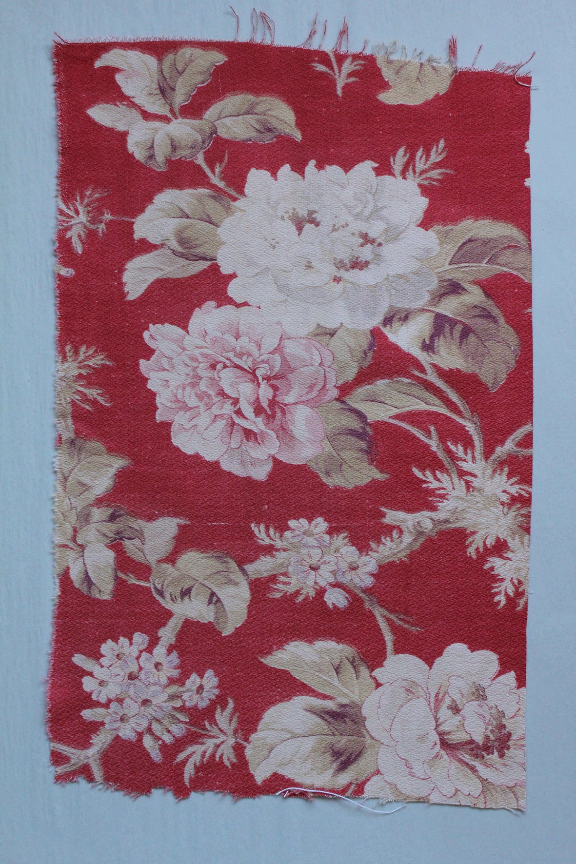 Antique French Cotton - Fragment 66
