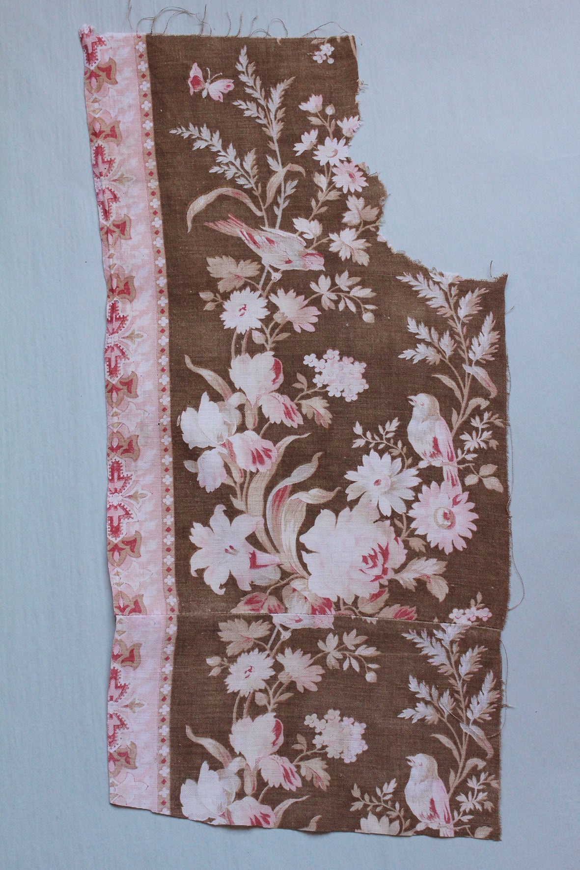Antique French Cotton - Fragment 55