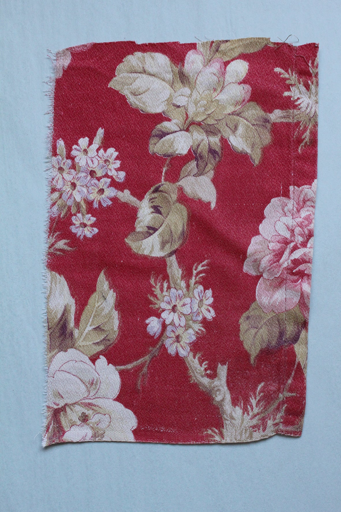Antique French Cotton - Fragment 1