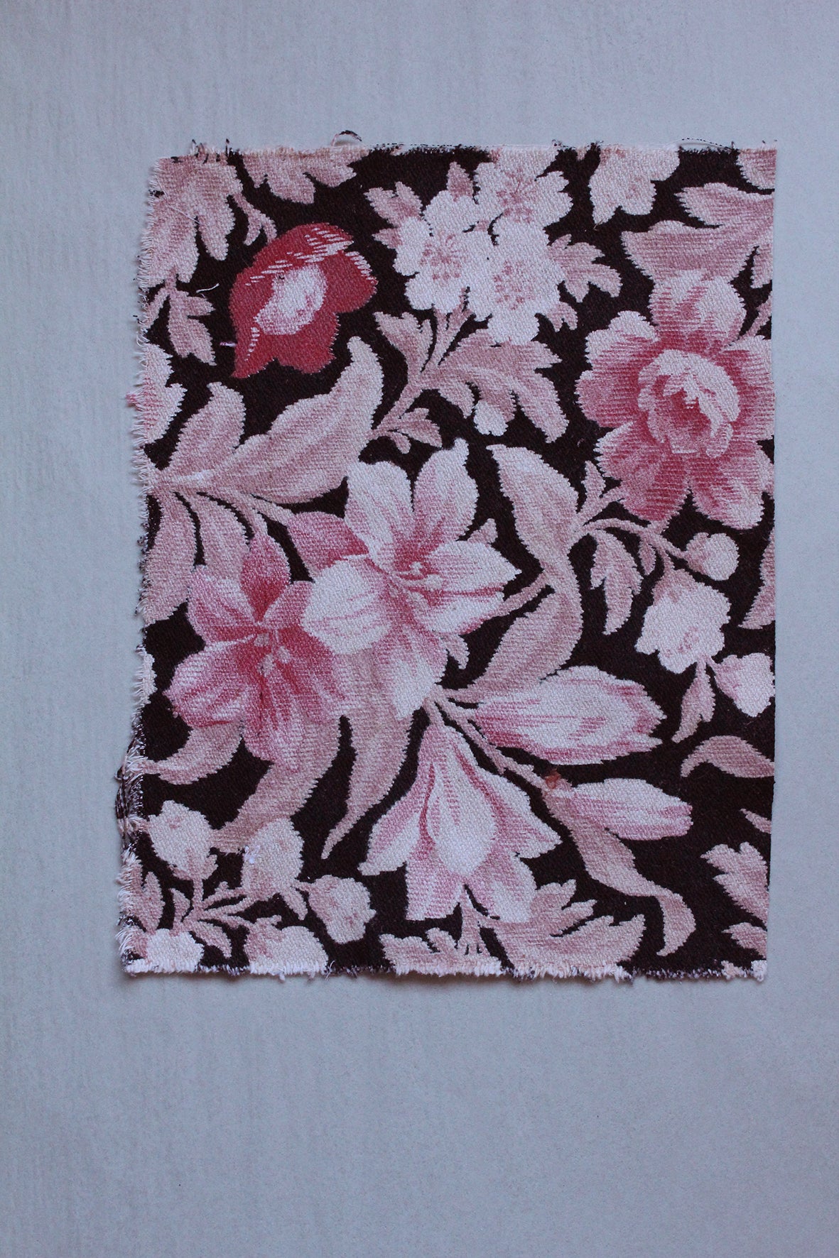Antique French Cotton - Fragment 36