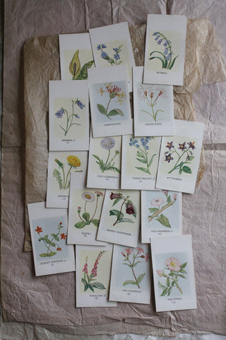 Old Observer's Cards - Florals (1)