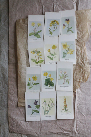 Old Observer's Cards - Florals (2)