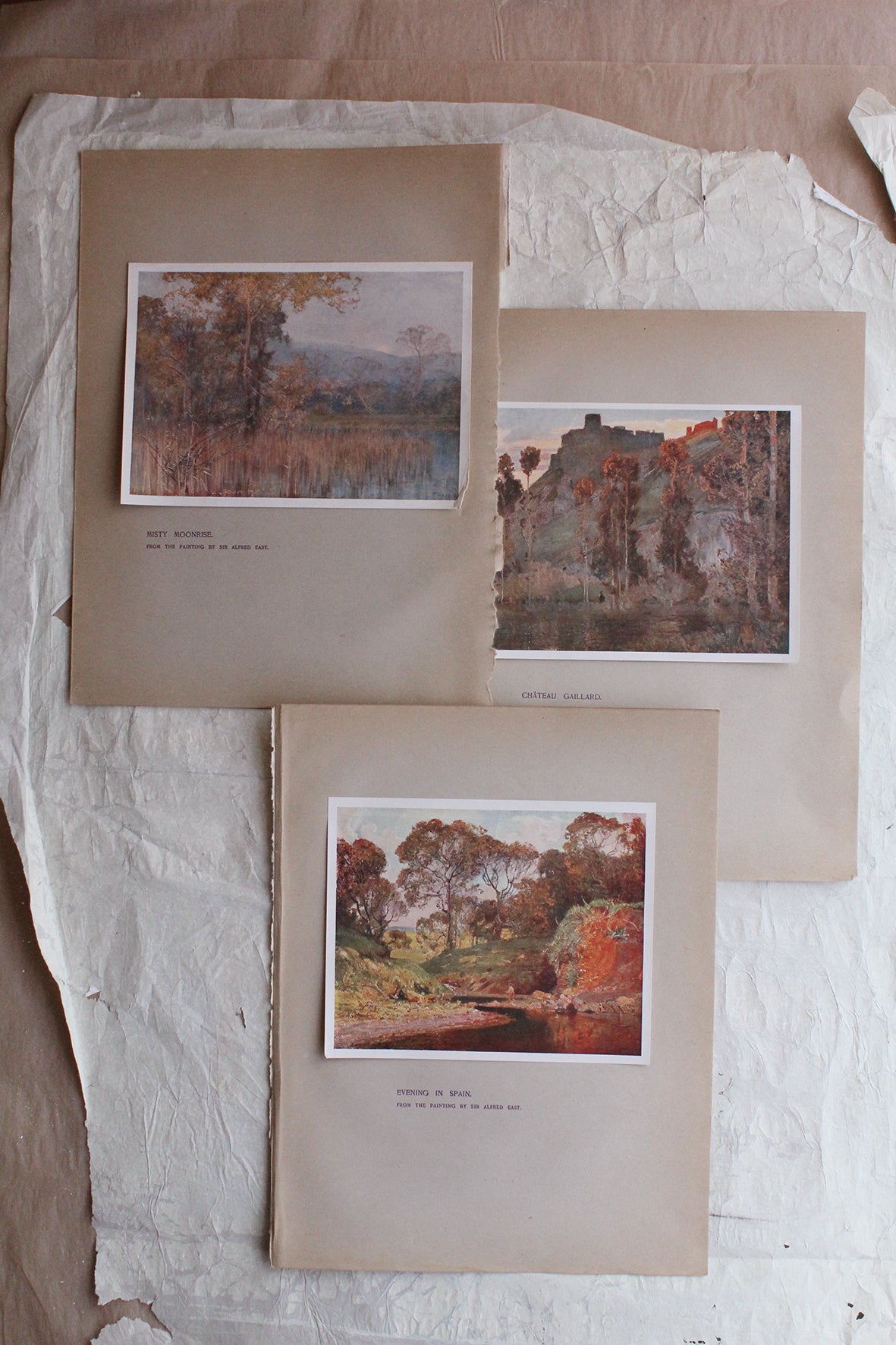 Reclaimed Edwardian Pages - Landscapes Studies (2)