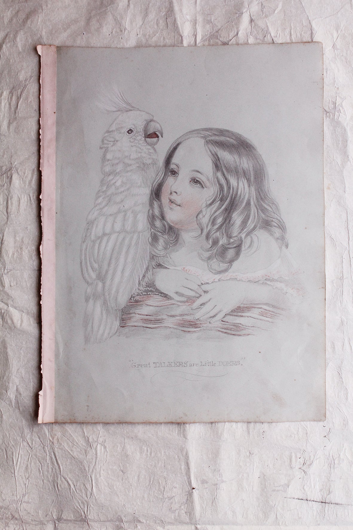 Victorian Drawing - Girl & Parrot