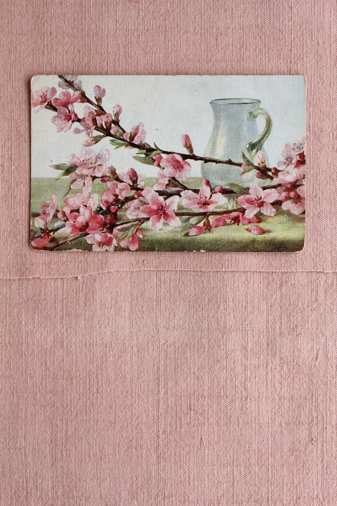 Old Collectable Postcard - Blossom Branches