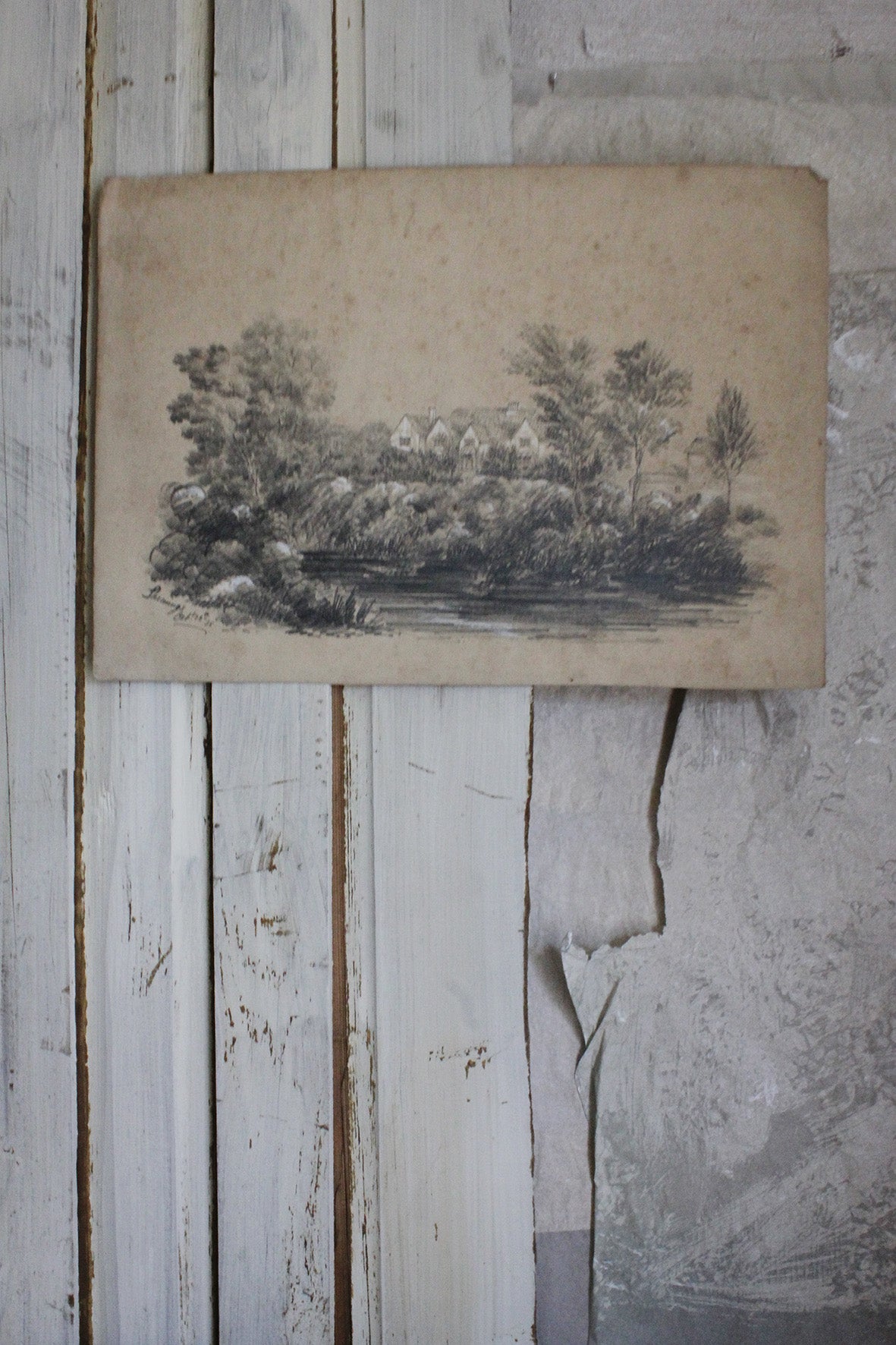 Old Mid Victorian Pencil & Chalk Study