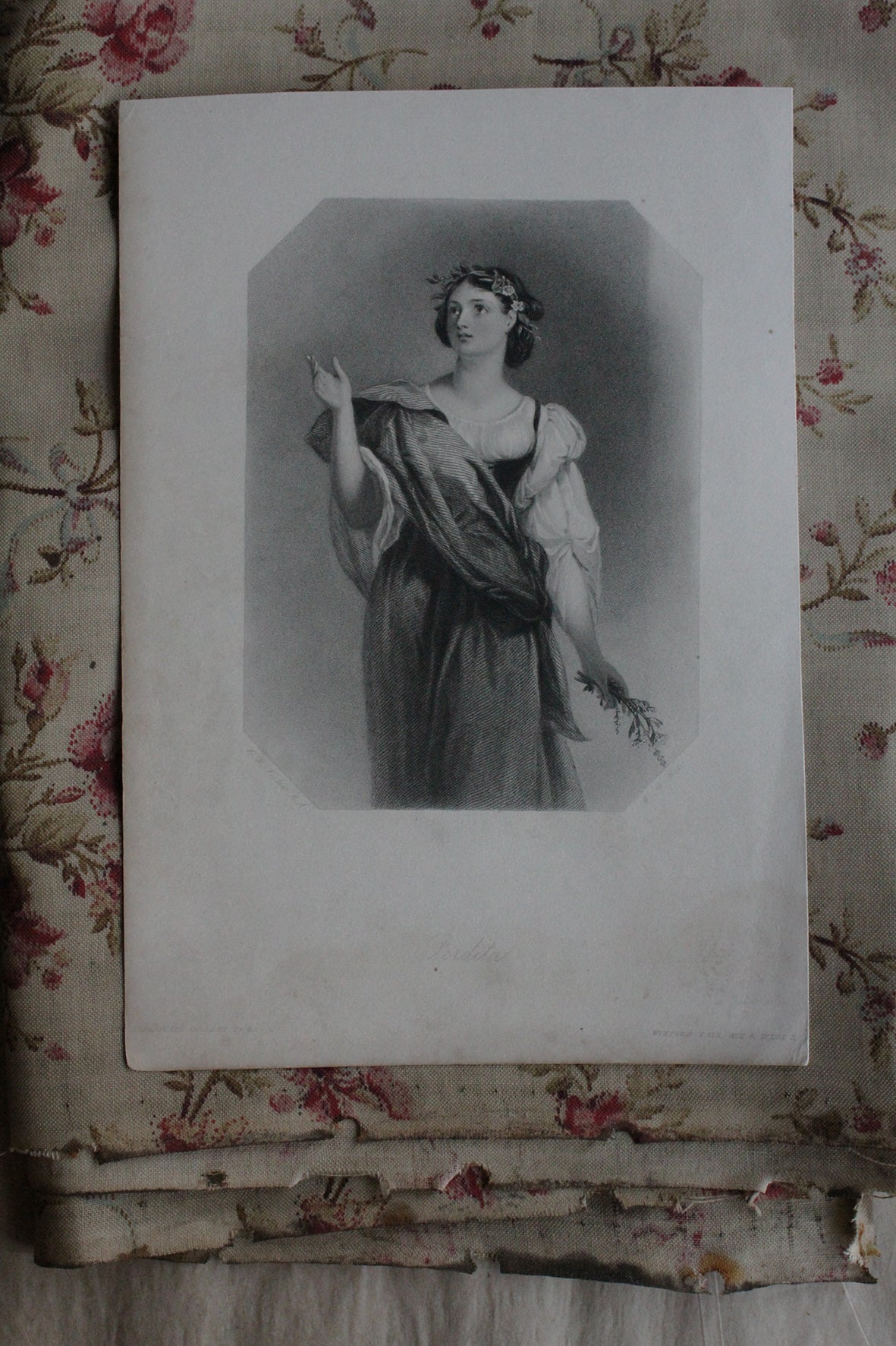 Paper Portrait - Perdita