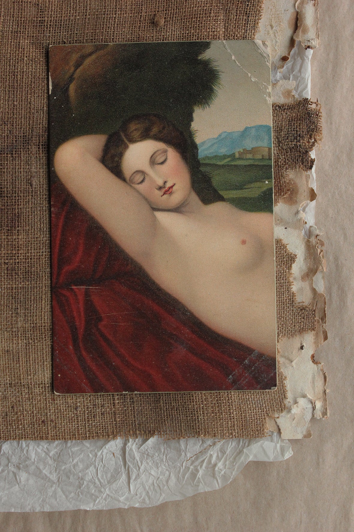 Collectable Postcard - Sleeping