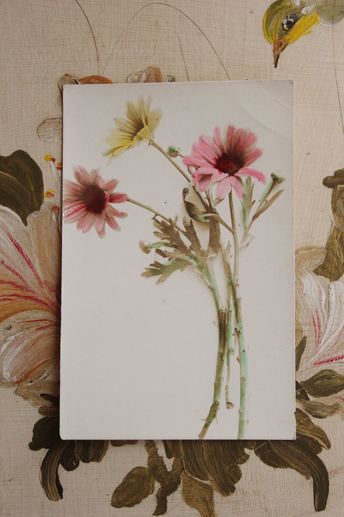 Old Collectable Postcard - Tinted