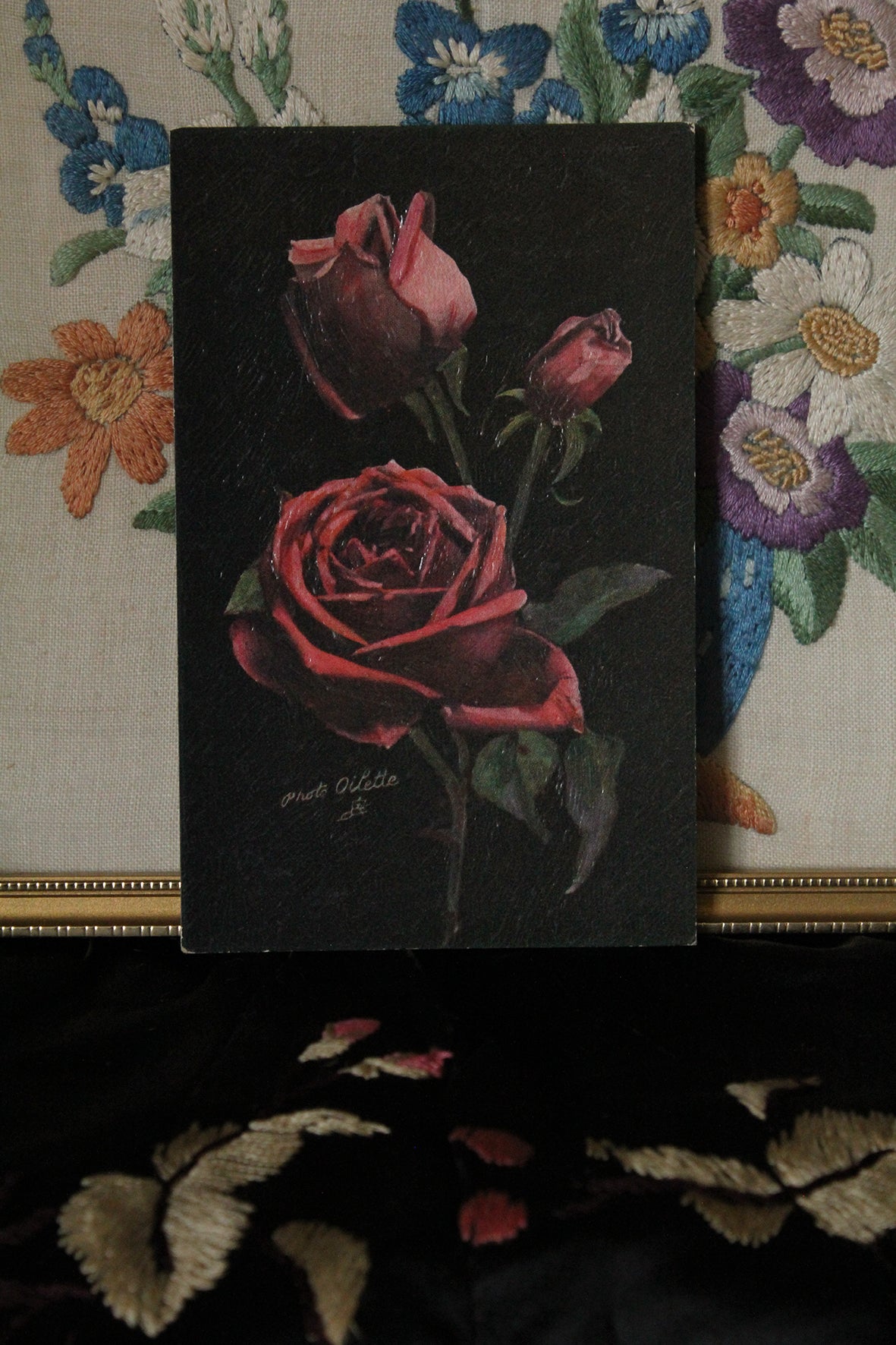 Collectable Postcard - Rouge