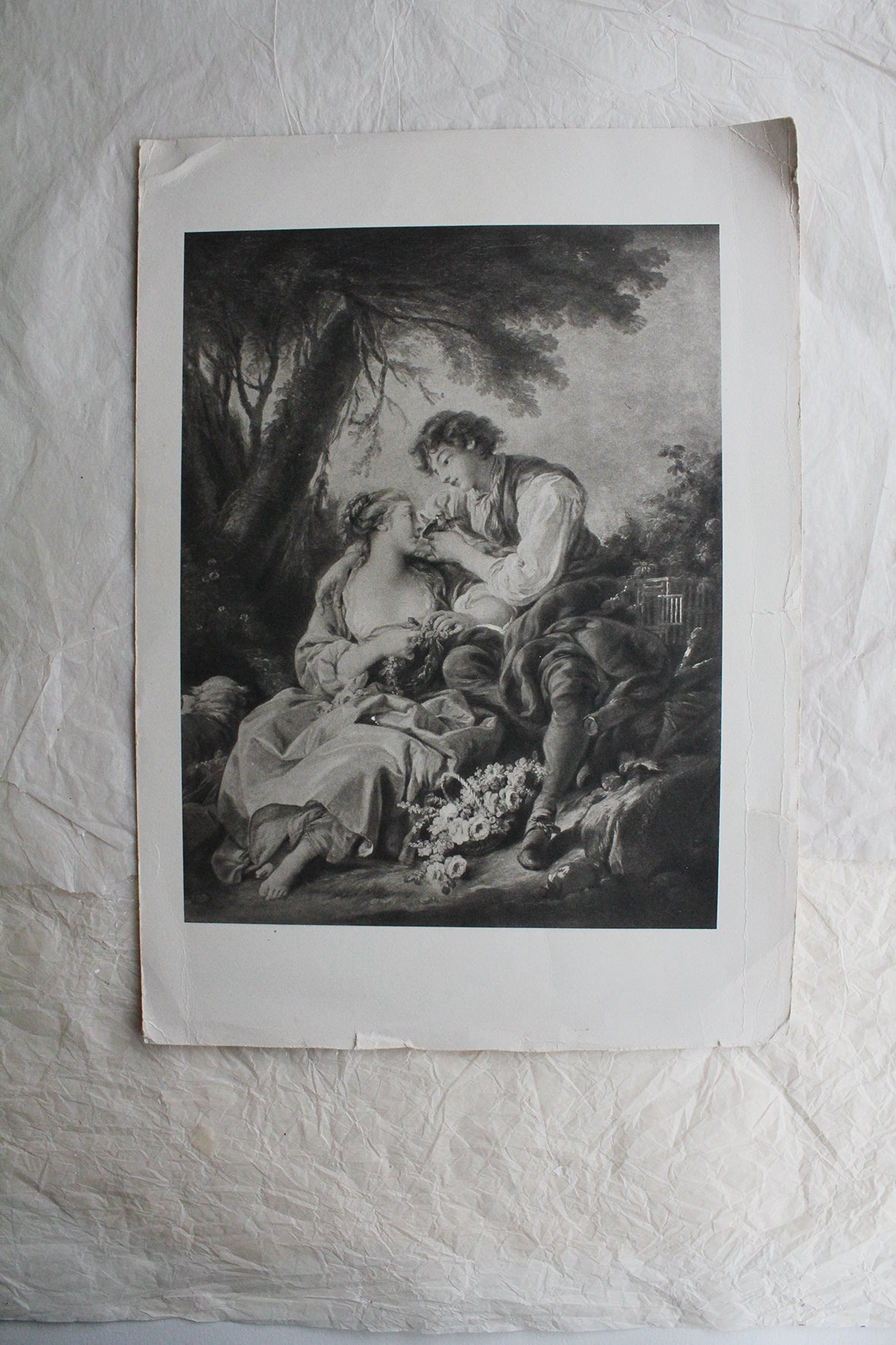 Old Book Plate - The Gaze