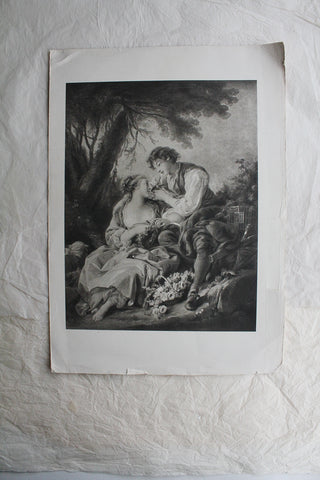 Framed Print - Bird on Branch No.2