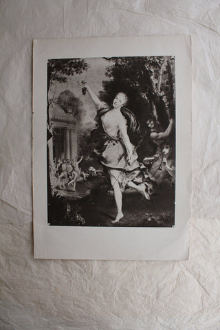 Beautiful Old Print - Unknown Lady (1)