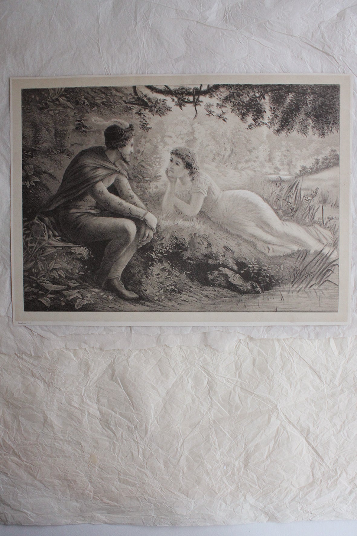 Old Book Plate - Romantic Light