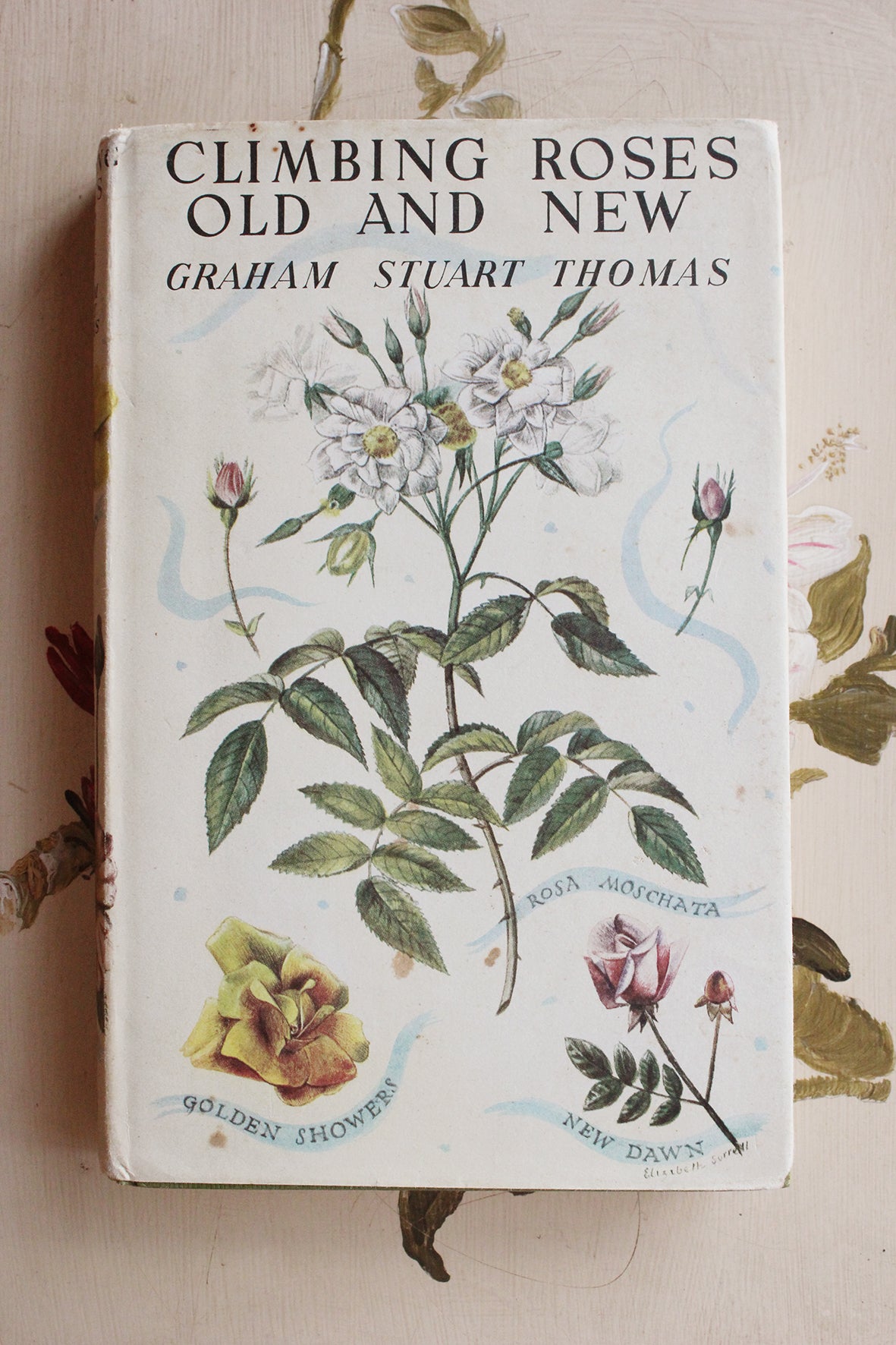 Old Book - Climbing Roses Old and New