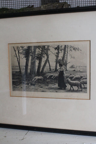 Old Etched Print - The Shepherdess