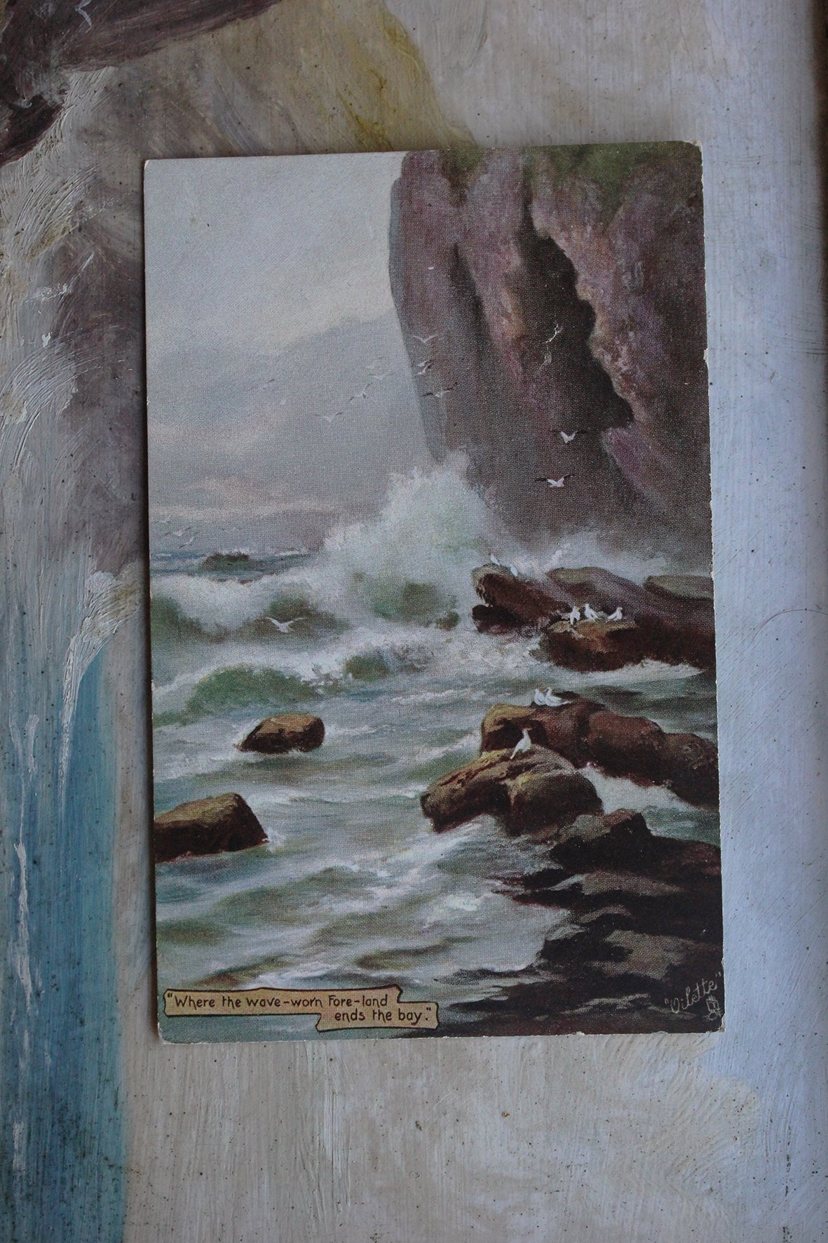 Collectable Postcard - Where the wave-worn foreland ends the bay