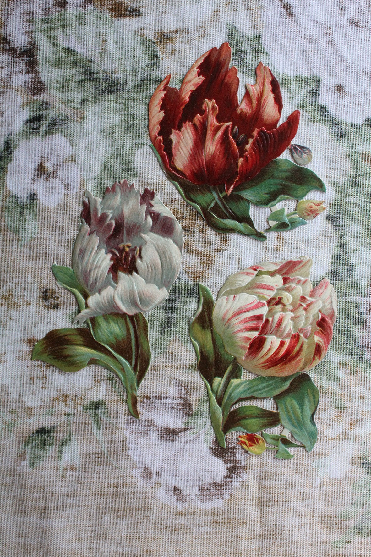 Large Victorian Die Cut Flowers - Tulips