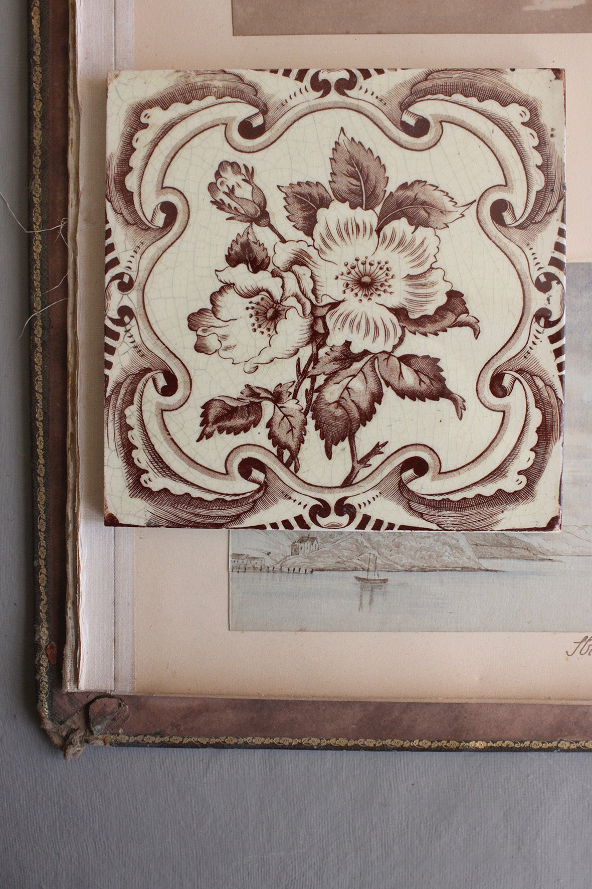 Old Rare Floral Tile - Wild Rose