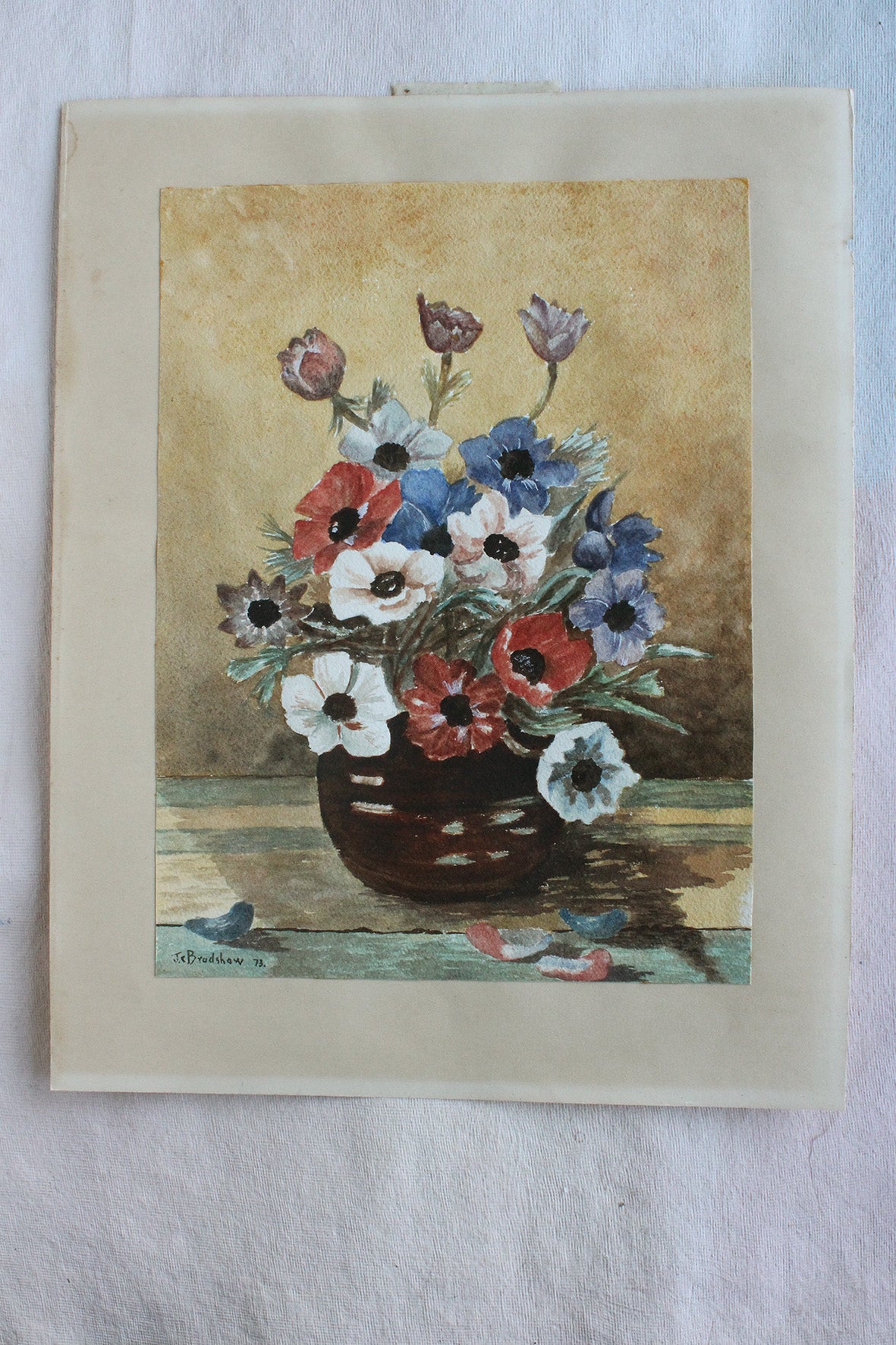Anemones