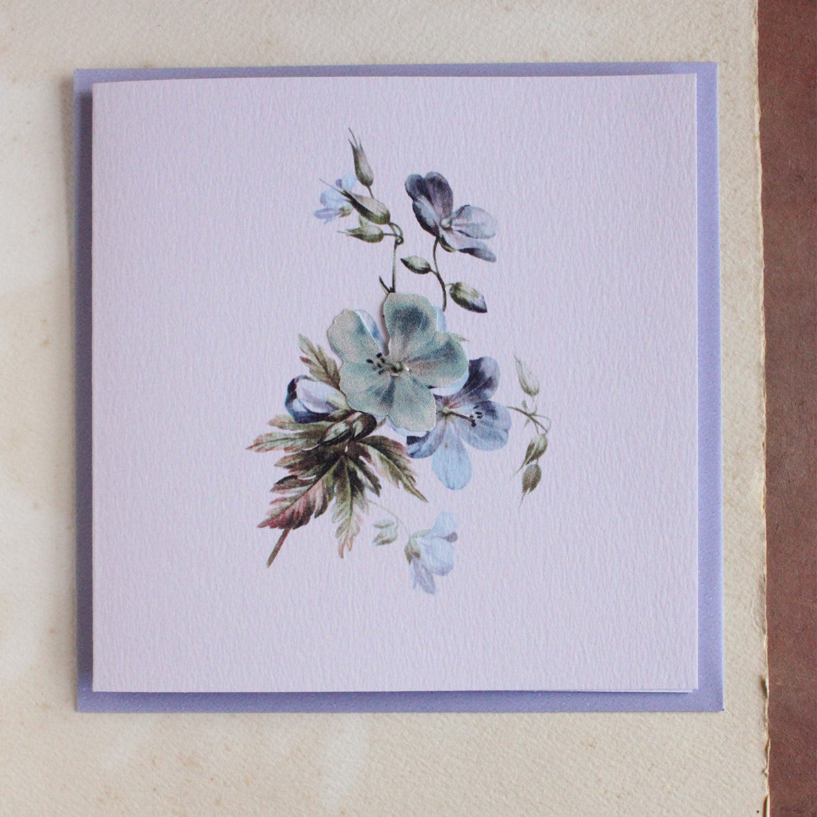Geranium