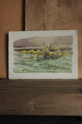 Old Watercolour - Landscape on Hand Made Paper - Gorse