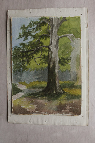 Old Beautiful Watercolour - Birch Trees