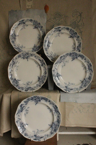 Collection of Antique Blues & Whites - eight