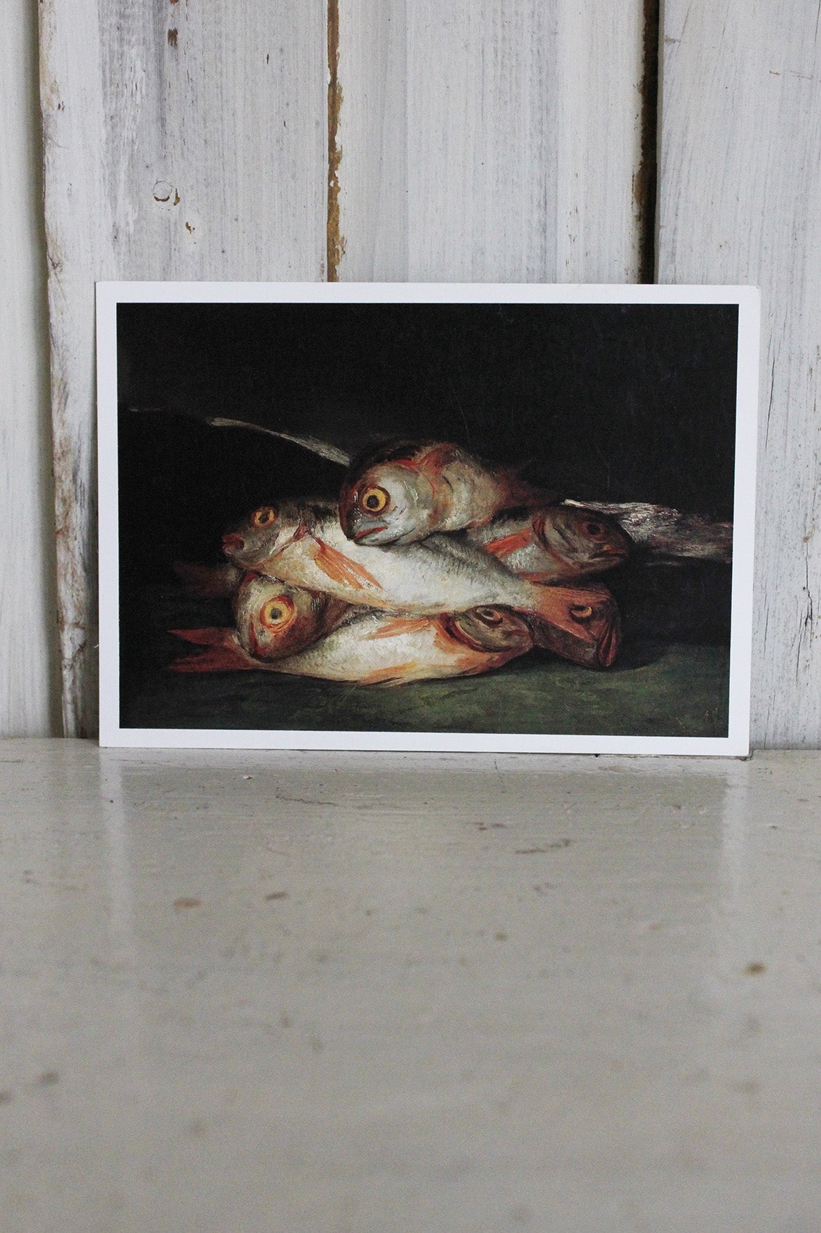 Vintage Postcard - Golden Bream