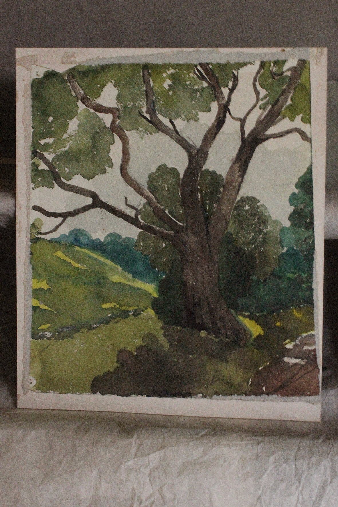 Vintage Woodland Watercolour on Board