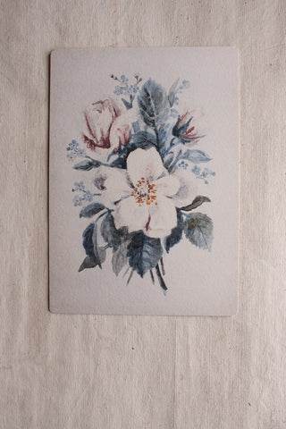Vintage Floral Print - Anemones
