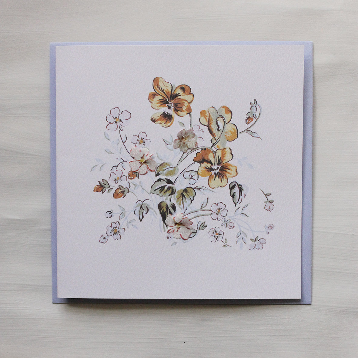 Viola & Blush