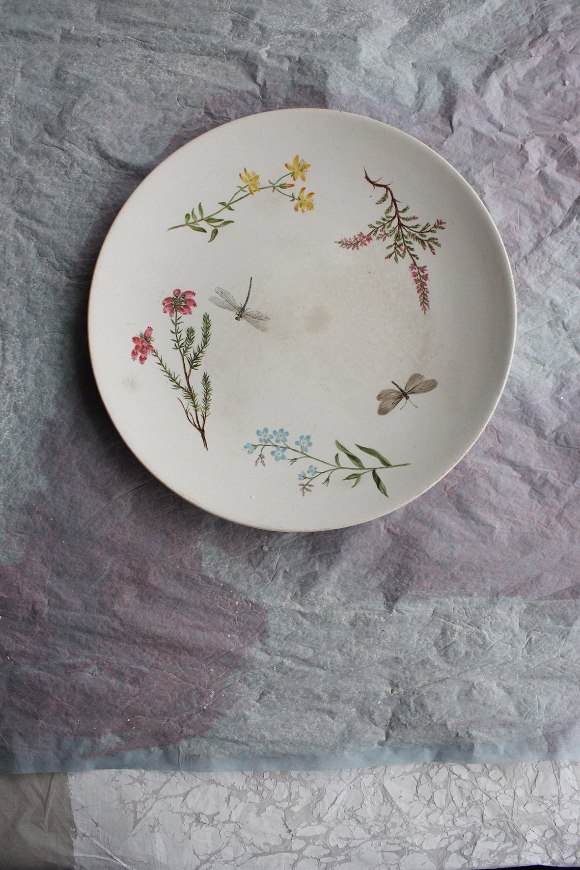 Wildflowers, Dragonfly & Butterfly - Antique Plate