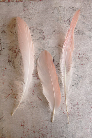 Vintage Millinery Feathers - Blush Cream Trio
